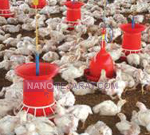 Poultry equipment